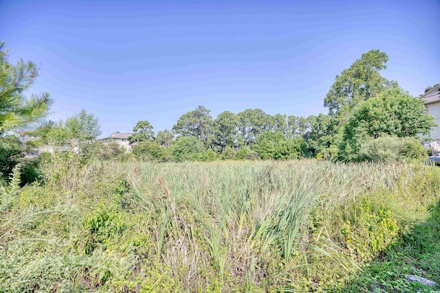 4103 Pinehurst Cir Unit Bb-12, Little River, SC 29566 - view of local wilderness