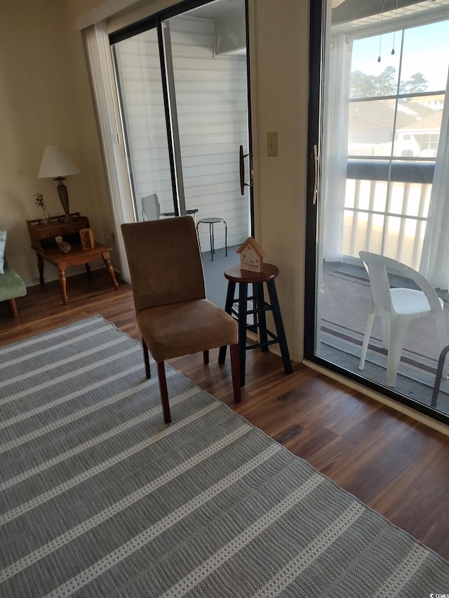 living area featuring dark wood-type flooring