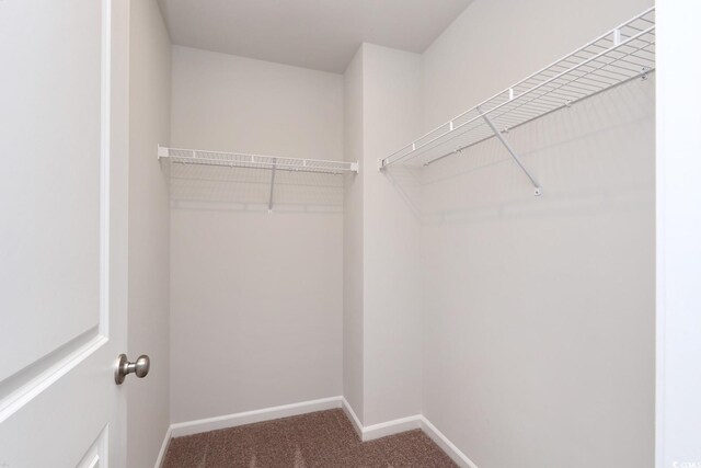 bedroom with carpet flooring