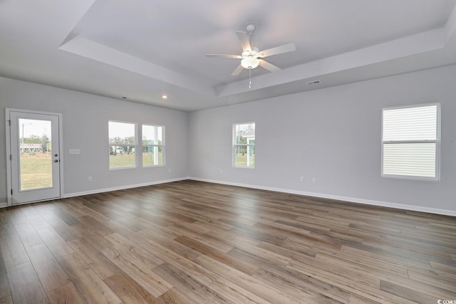 spare room featuring a raised ceiling, light hardwood / wood-style flooring, and a healthy amount of sunlight