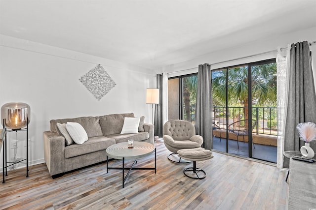 living room featuring light wood-type flooring and plenty of natural light