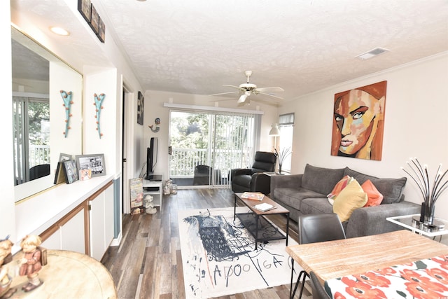 living room with wood-type flooring, ceiling fan, and a textured ceiling