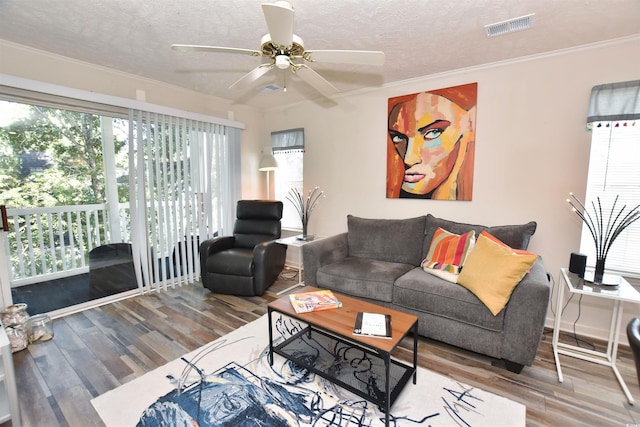 living room featuring a textured ceiling, hardwood / wood-style flooring, and ceiling fan