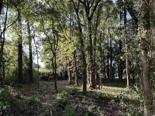505 Wraggs Ferry Rd, Georgetown, SC 29440