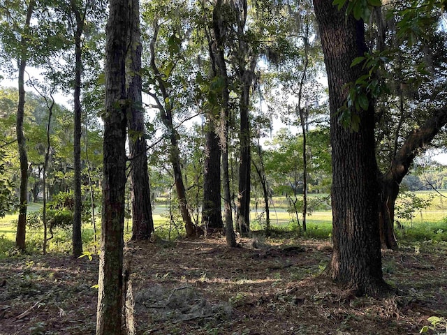 505 Wraggs Ferry Rd, Georgetown, SC 29440
