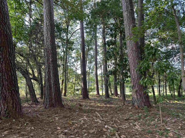 505 Wraggs Ferry Rd, Georgetown, SC 29440