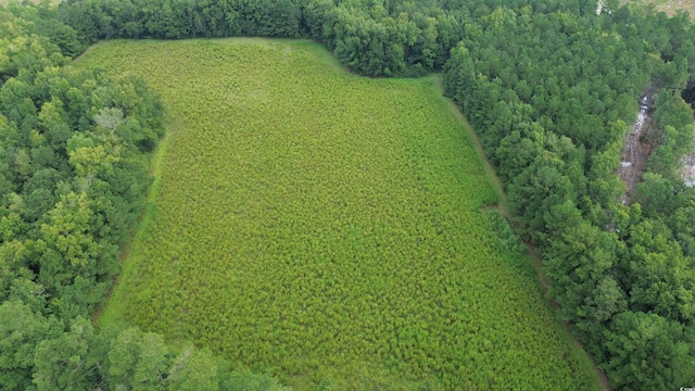 TBD Fries Bay Rd, Loris, SC 29569