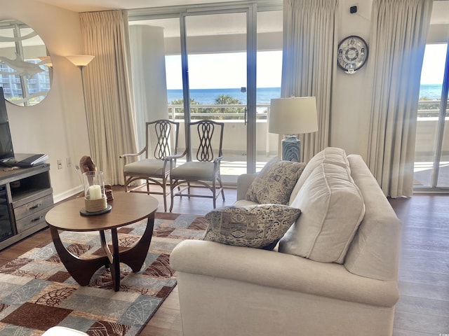 living room featuring hardwood / wood-style flooring, a water view, and plenty of natural light