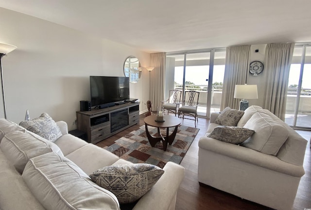 living room featuring wood-type flooring, plenty of natural light, and a wall of windows