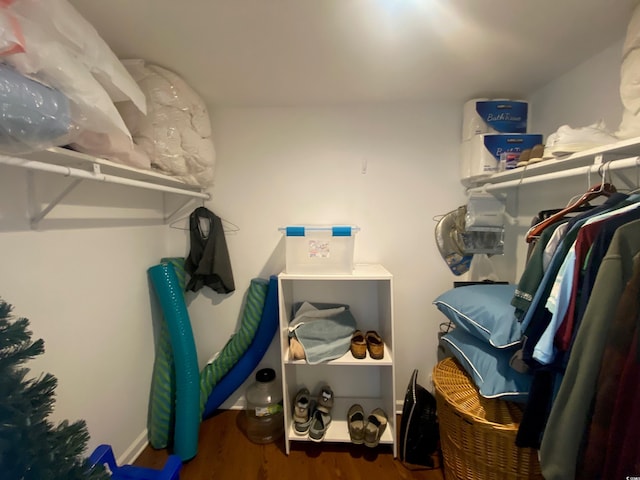 spacious closet with dark hardwood / wood-style flooring