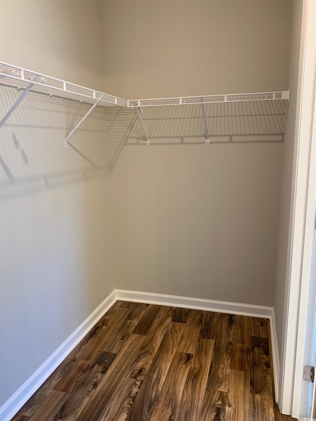 spacious closet with wood-type flooring