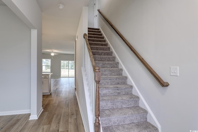 stairs featuring ceiling fan and wood-type flooring