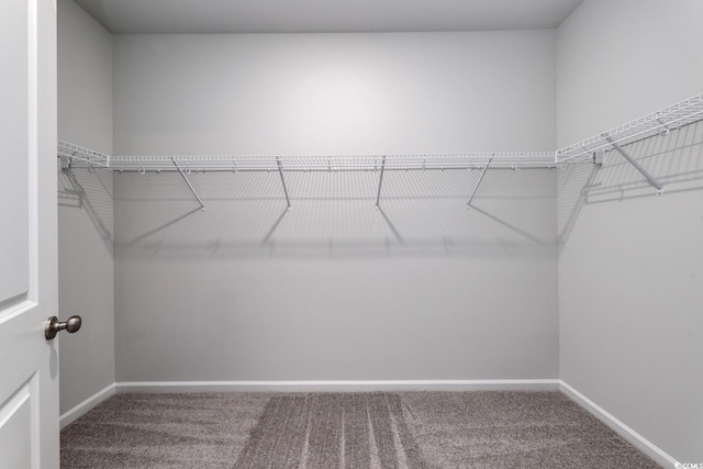 walk in closet with carpet