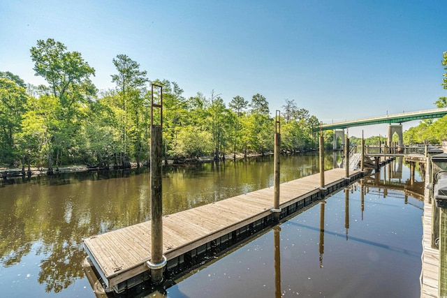 dock area with a water view