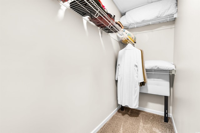 spacious closet featuring carpet floors