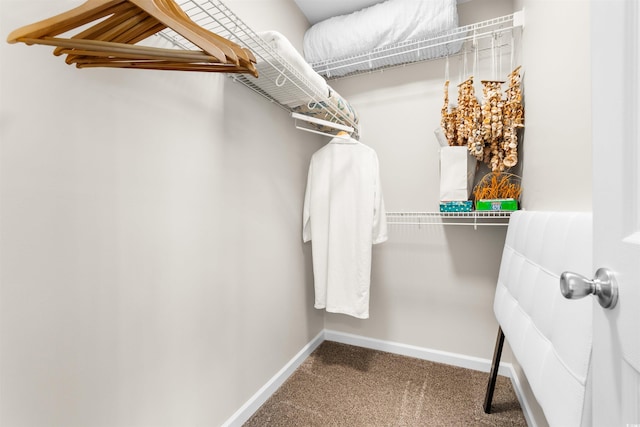 walk in closet featuring carpet floors