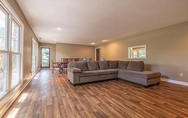 living room with a textured ceiling and dark hardwood / wood-style floors