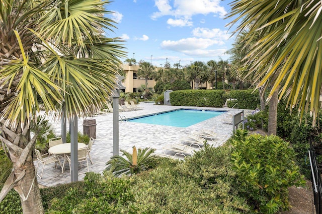 view of pool with a patio area