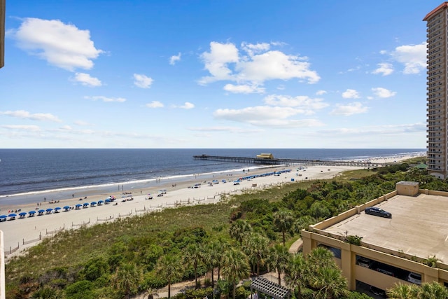 water view with a view of the beach