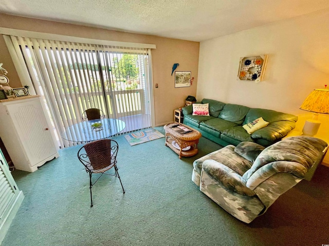 living room with a textured ceiling and carpet