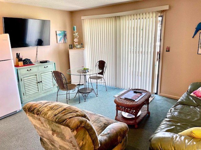 carpeted living room with a textured ceiling