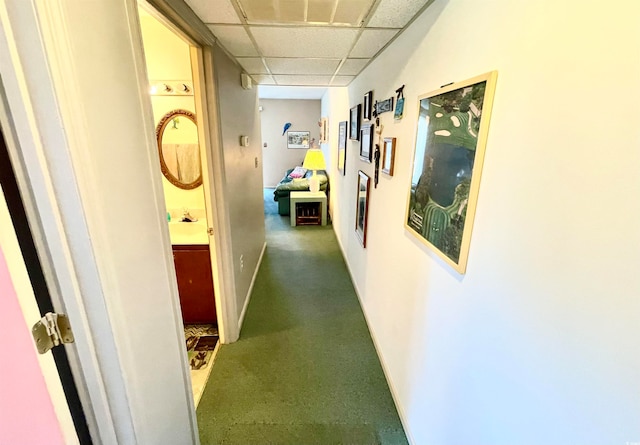 corridor featuring a paneled ceiling and carpet floors