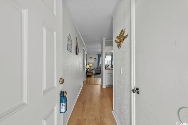 4305 S Ocean Blvd Unit 106, North Myrtle Beach, SC 29582 - hall featuring light wood-type flooring, crown molding, and a textured ceiling