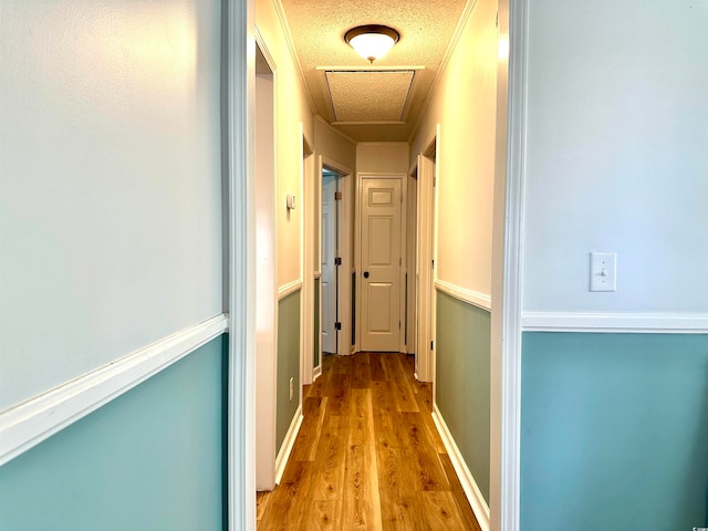 hallway with a textured ceiling and hardwood / wood-style floors