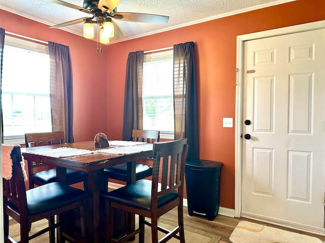 dining room with light wood-type flooring, ornamental molding, ceiling fan, and a textured ceiling