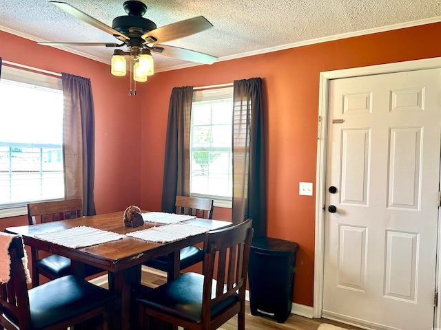 dining area featuring a textured ceiling, ceiling fan, ornamental molding, and wood-type flooring