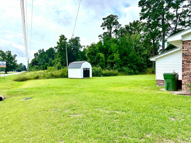 view of yard with a storage unit