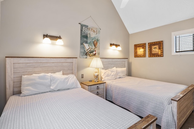 bedroom with lofted ceiling