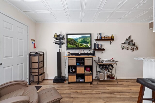 living room featuring hardwood / wood-style floors