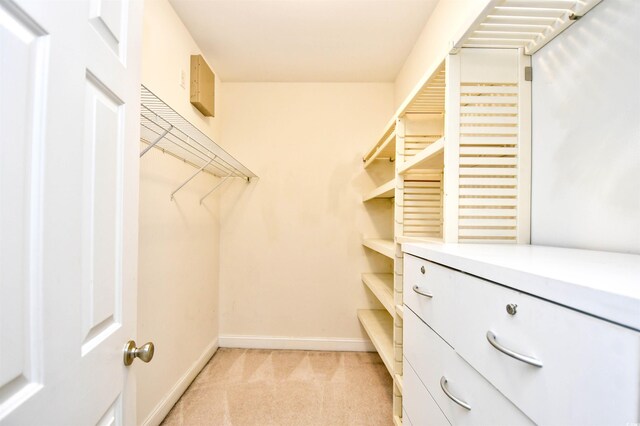 walk in closet featuring light carpet