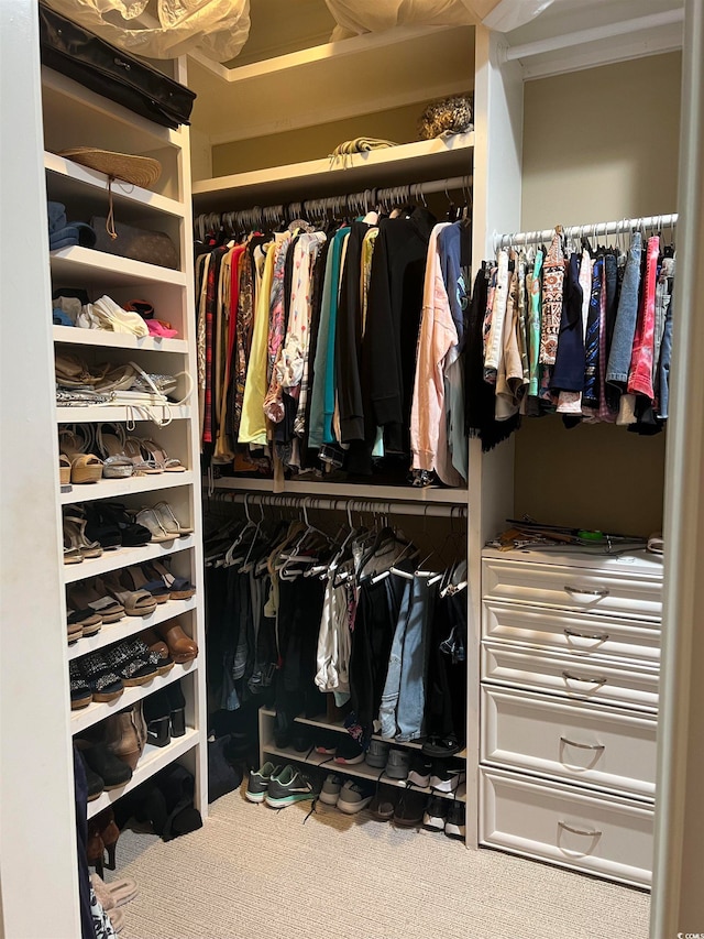 spacious closet featuring carpet floors