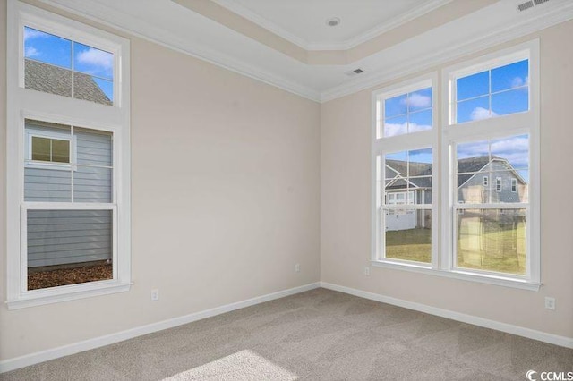 empty room featuring crown molding, light colored carpet, and a raised ceiling