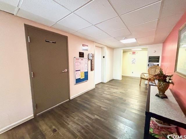 hall featuring dark wood-type flooring and a drop ceiling