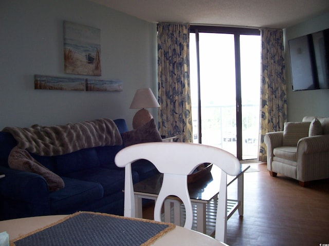 living room featuring hardwood / wood-style flooring and expansive windows