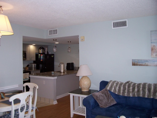 living room with dark hardwood / wood-style floors, sink, and a textured ceiling