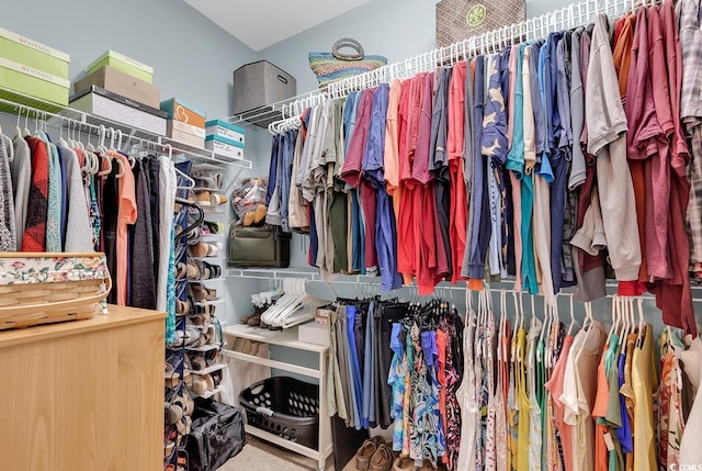 spacious closet with carpet
