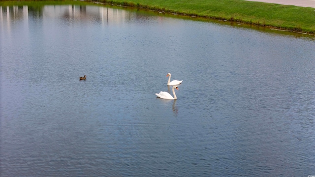 view of water feature