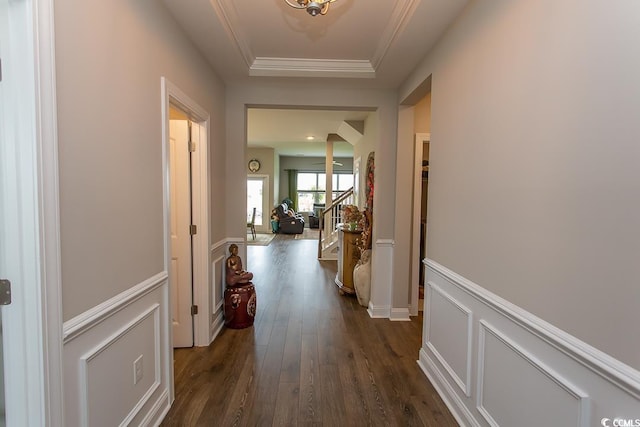 hallway with crown molding, dark hardwood / wood-style floors, and a raised ceiling