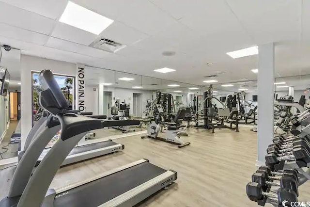 gym with a drop ceiling and hardwood / wood-style floors