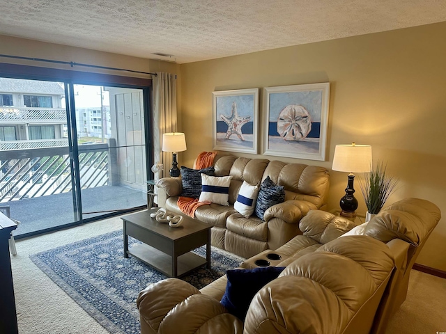 carpeted living area featuring a textured ceiling