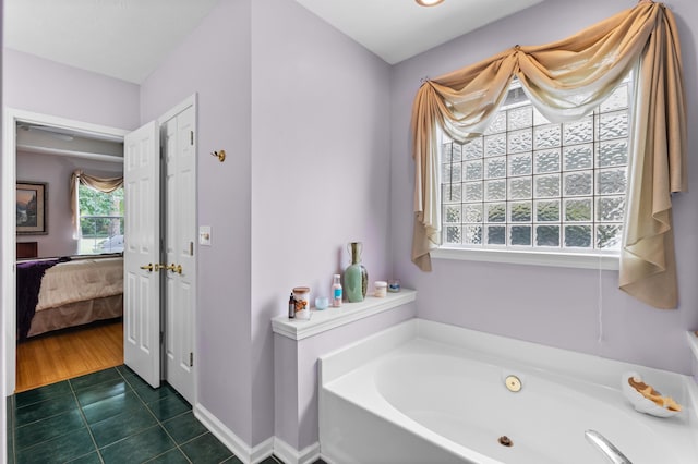 bathroom featuring a washtub and wood-type flooring