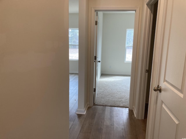 corridor featuring wood-type flooring and baseboards