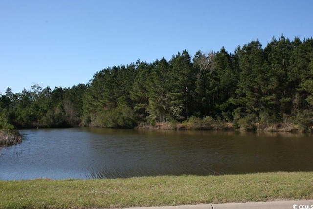 water view featuring a view of trees