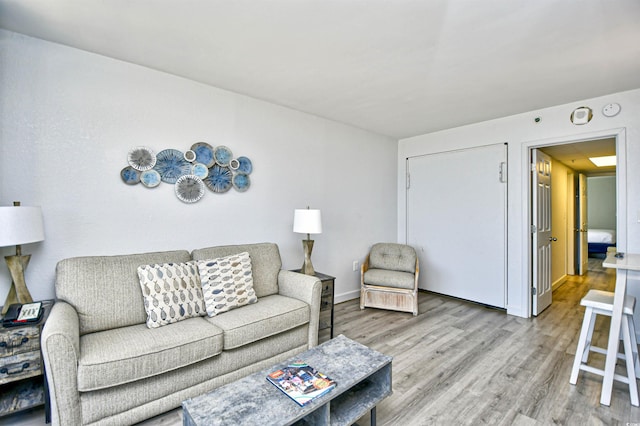 living room featuring light hardwood / wood-style flooring