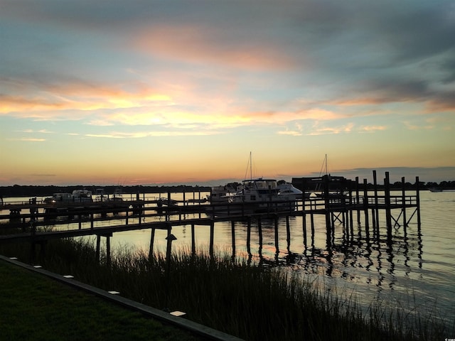 dock area with a water view