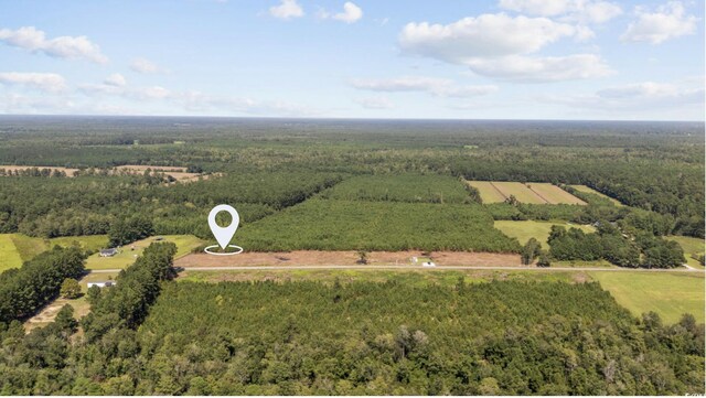 LOTB1 Black Creek Rd, Nichols, SC 29581 - photo 2